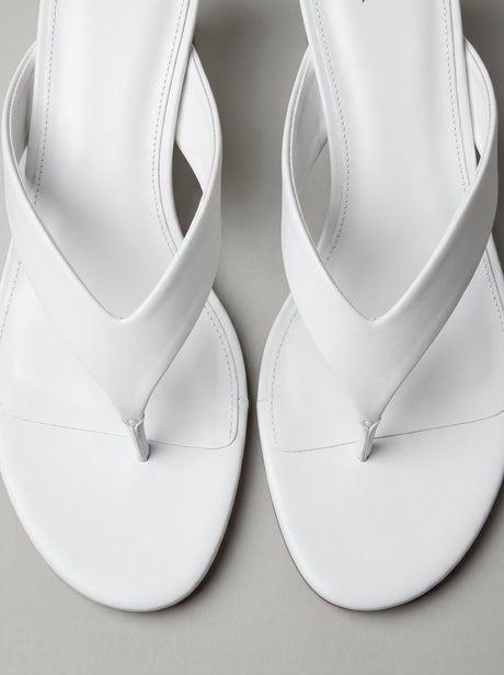 Capsule - Cassia White