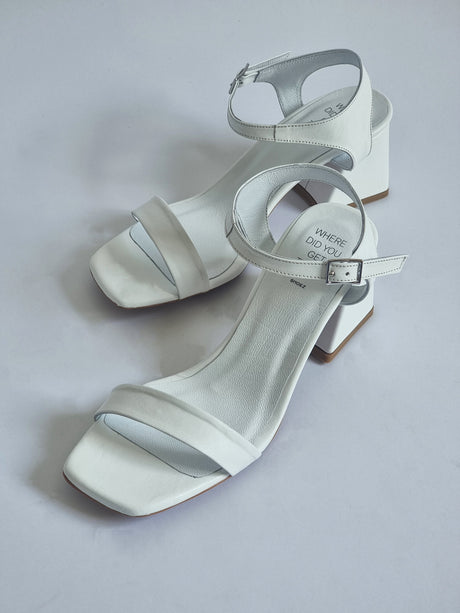 Dina White