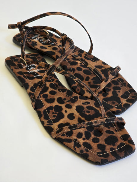 Eidan Leopard