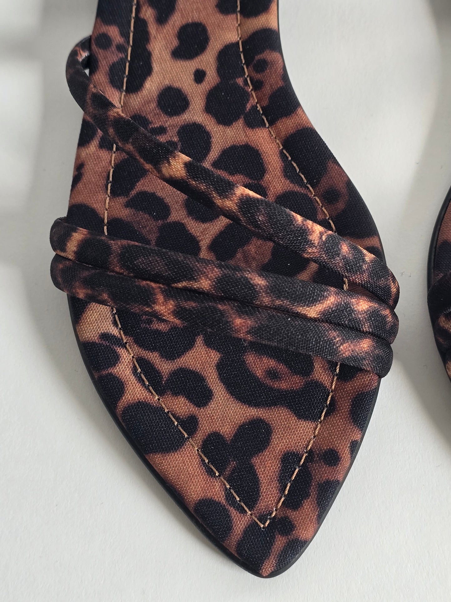 SAE -Alex Leopard