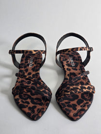 SAE -Alex Leopard