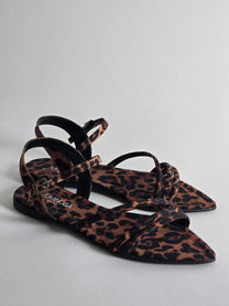 SAE -Alex Leopard