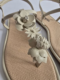Sansa Cream