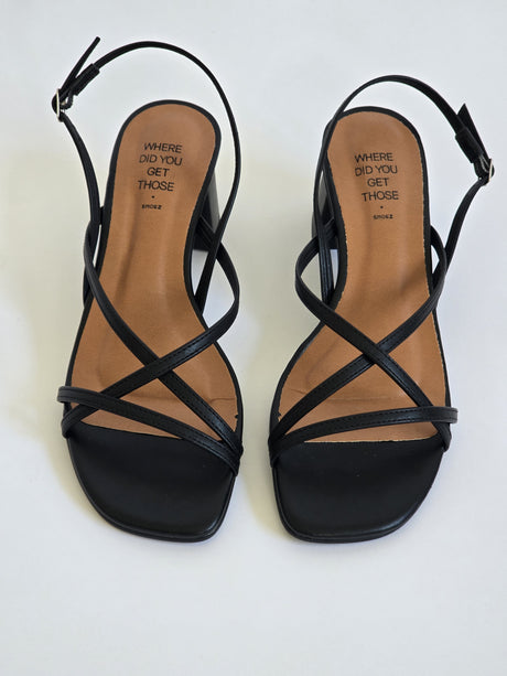 Venus Black