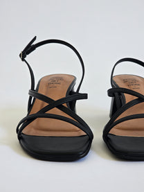 Venus Black