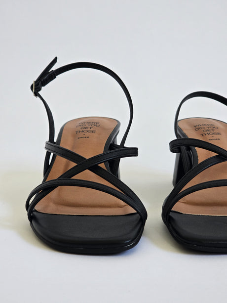 Venus Black