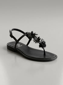 Sansa Black