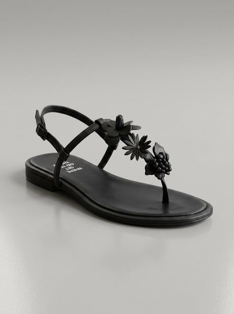 Sansa Black