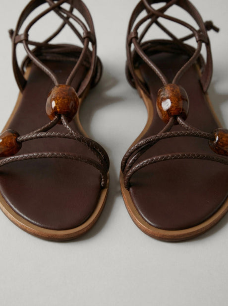 Capsule - Apollo Dark Brown