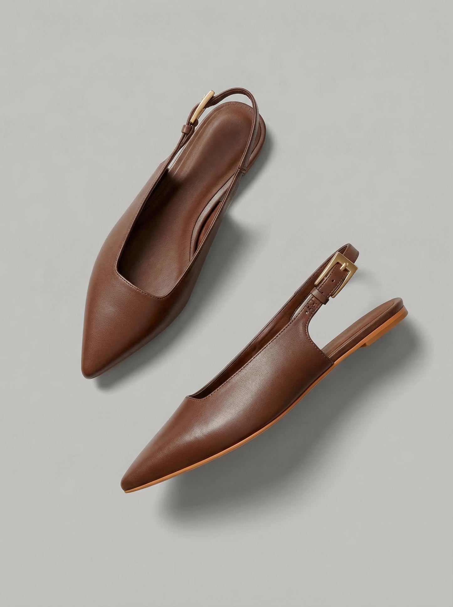 Capsule -Zelie Brown