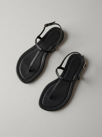 Alma Black