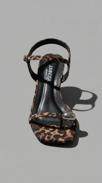 Brook Leopard