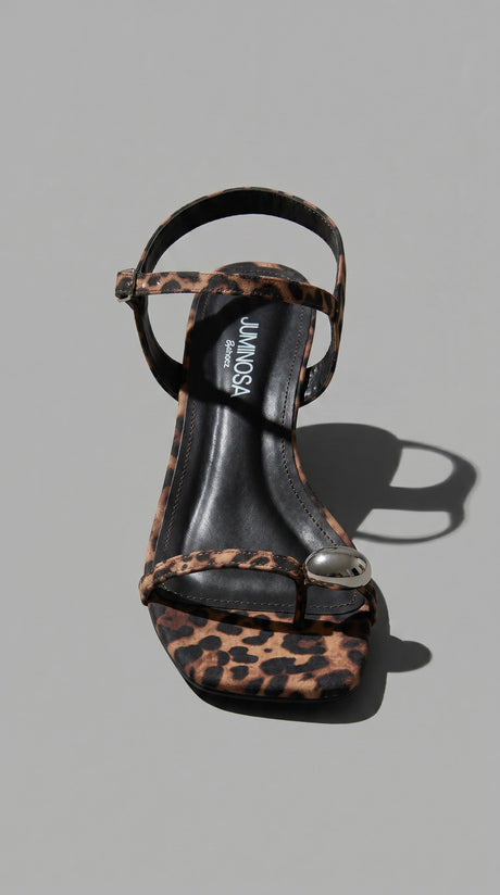 Brook Leopard