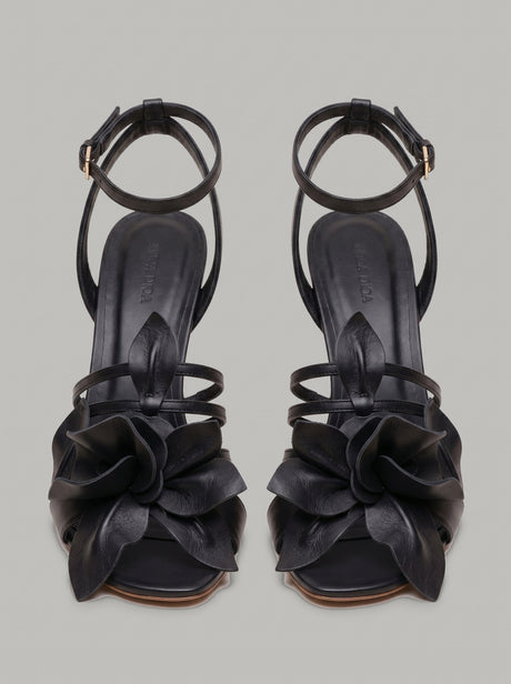 Capsule - Ashly Heel Black