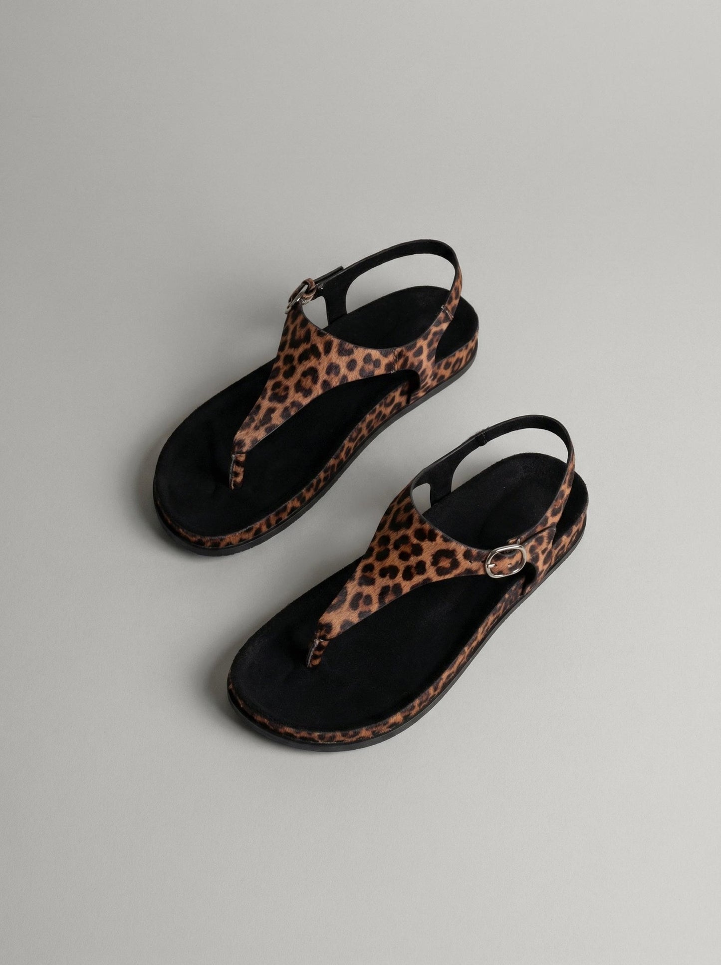 Ozzy Leopard