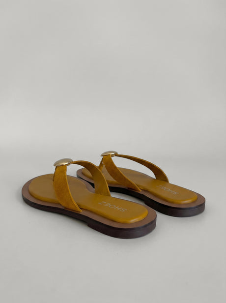 Capsule - Vienna Mustard