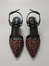 Cassie Leopard