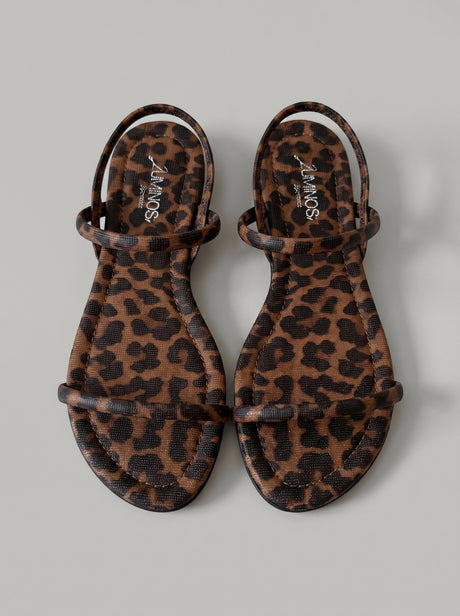 Kalypso Leopard