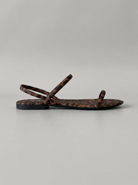 Kalypso Leopard