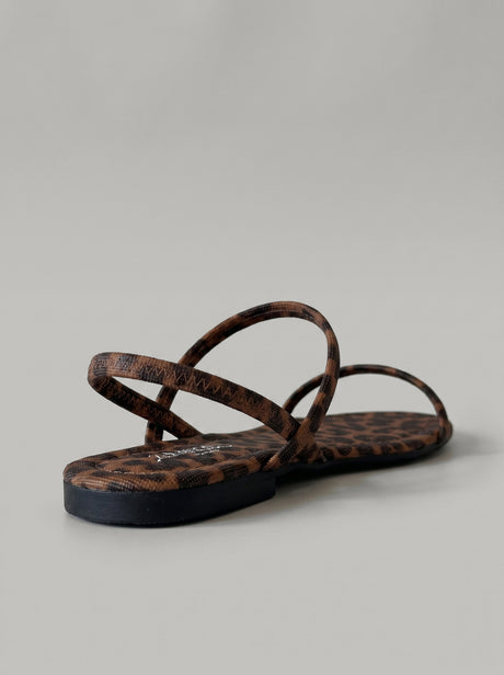 Kalypso Leopard