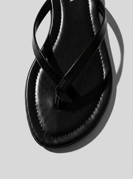 Savanna Black