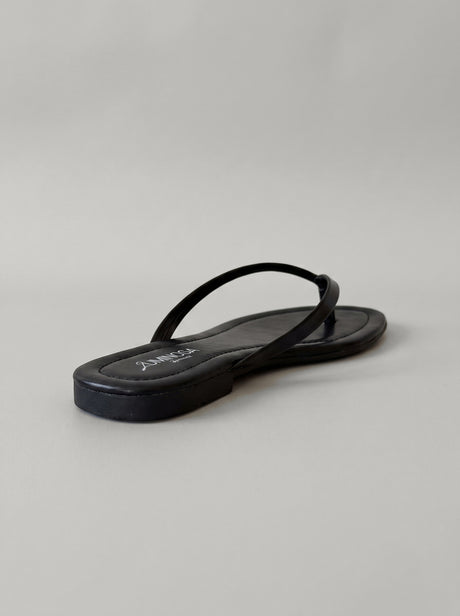 Savanna Black