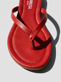 Savanna Red