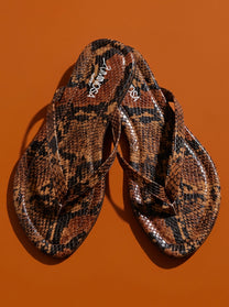 Savanna Snake