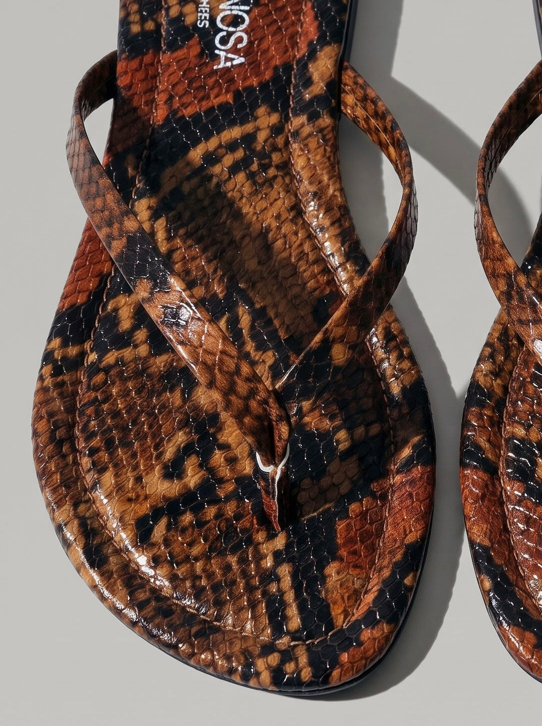 Savanna Snake