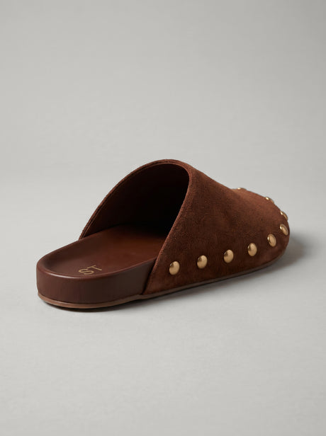 Capsule - Talma Ginger