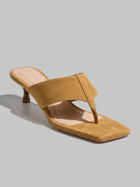 Nerina Camel