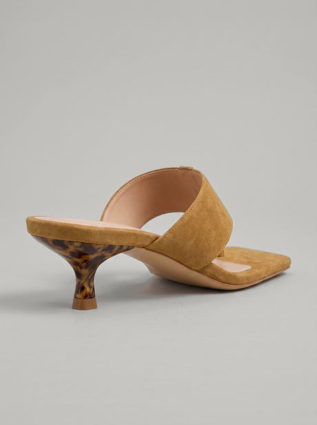 Nerina Camel