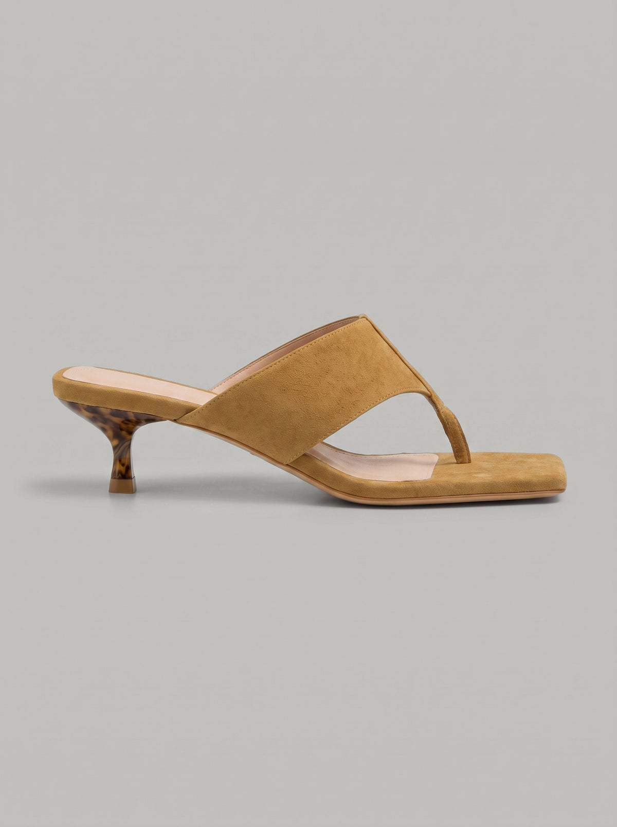 Nerina Camel