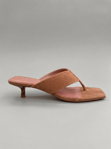 Nerina Camel