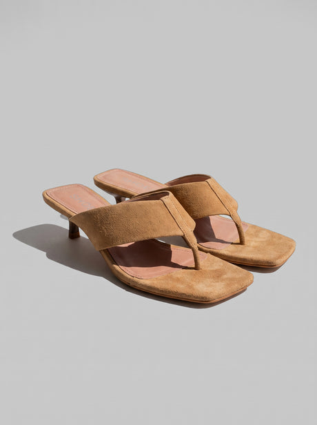Nerina Camel