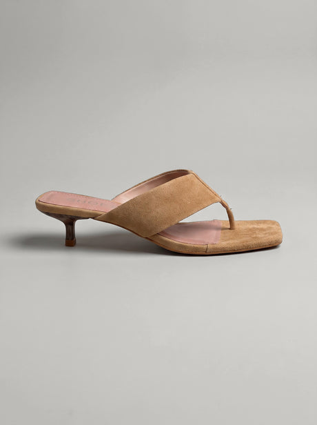 Nerina Camel