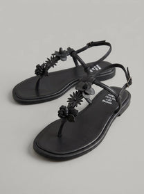 Sansa Black