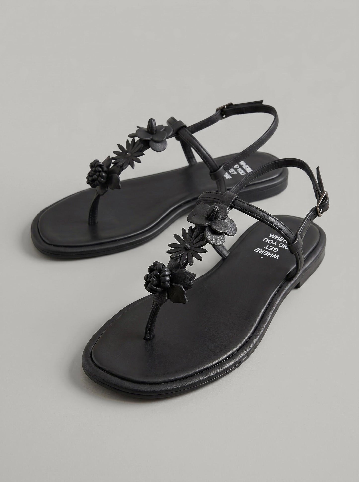 Sansa Black