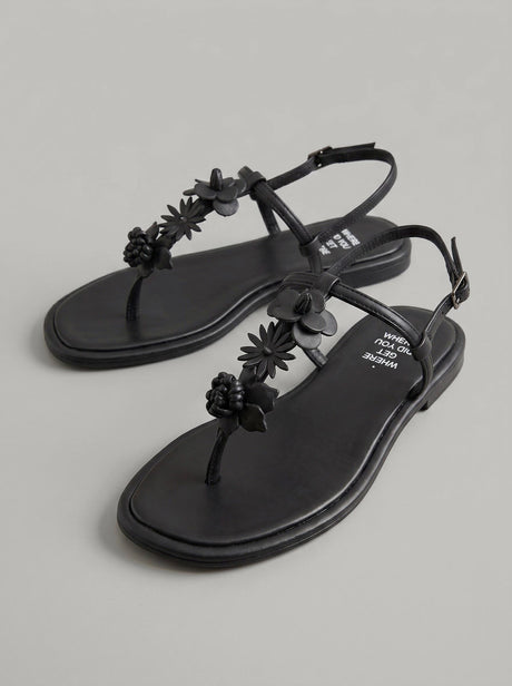 Sansa Black