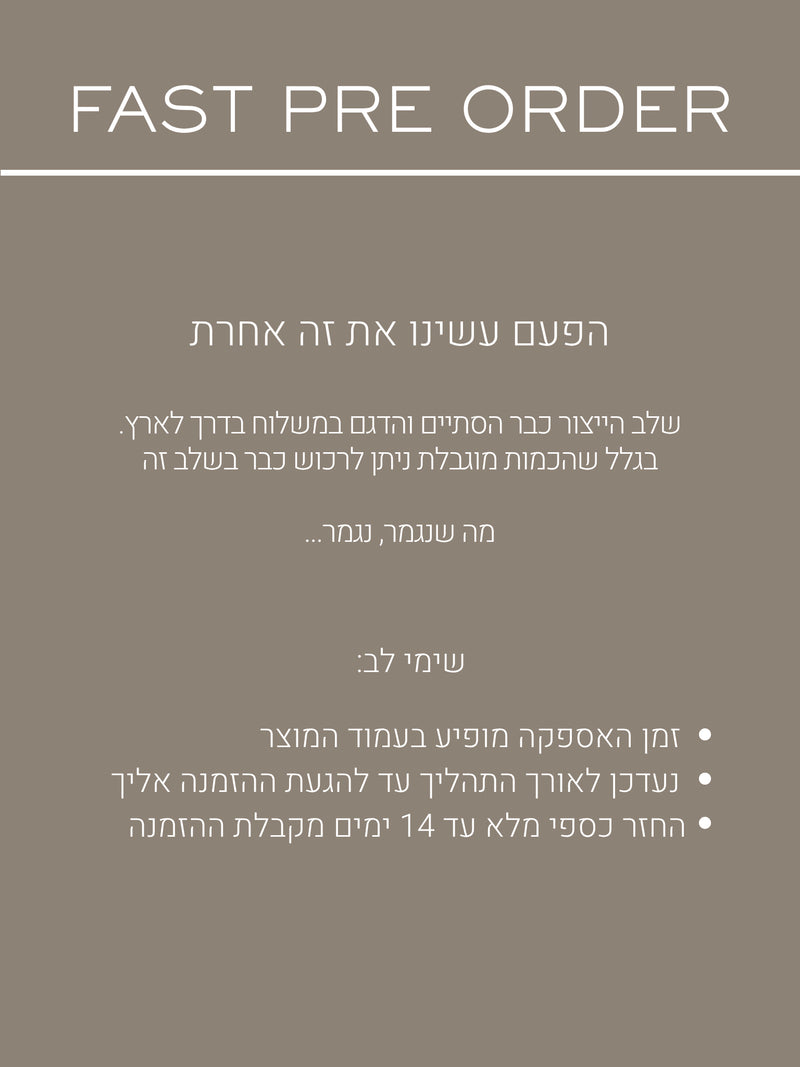 לפינה (5)