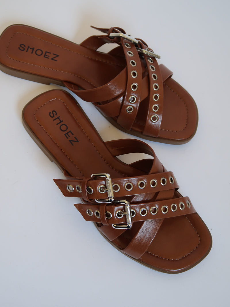 ‏‏img 5769 עותק