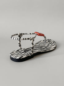 Wendy Zebra