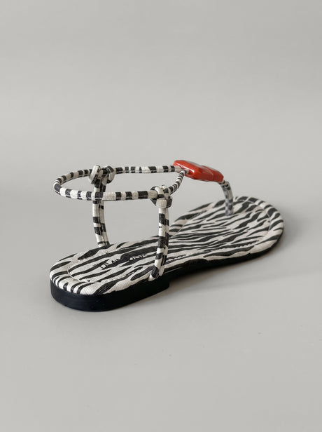 Wendy Zebra