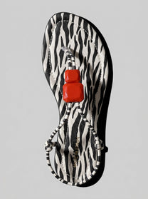Wendy Zebra