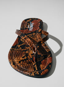 Savanna Snake