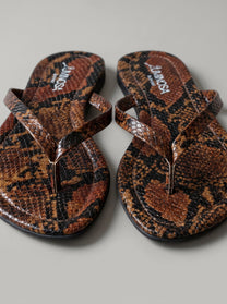 Savanna Snake