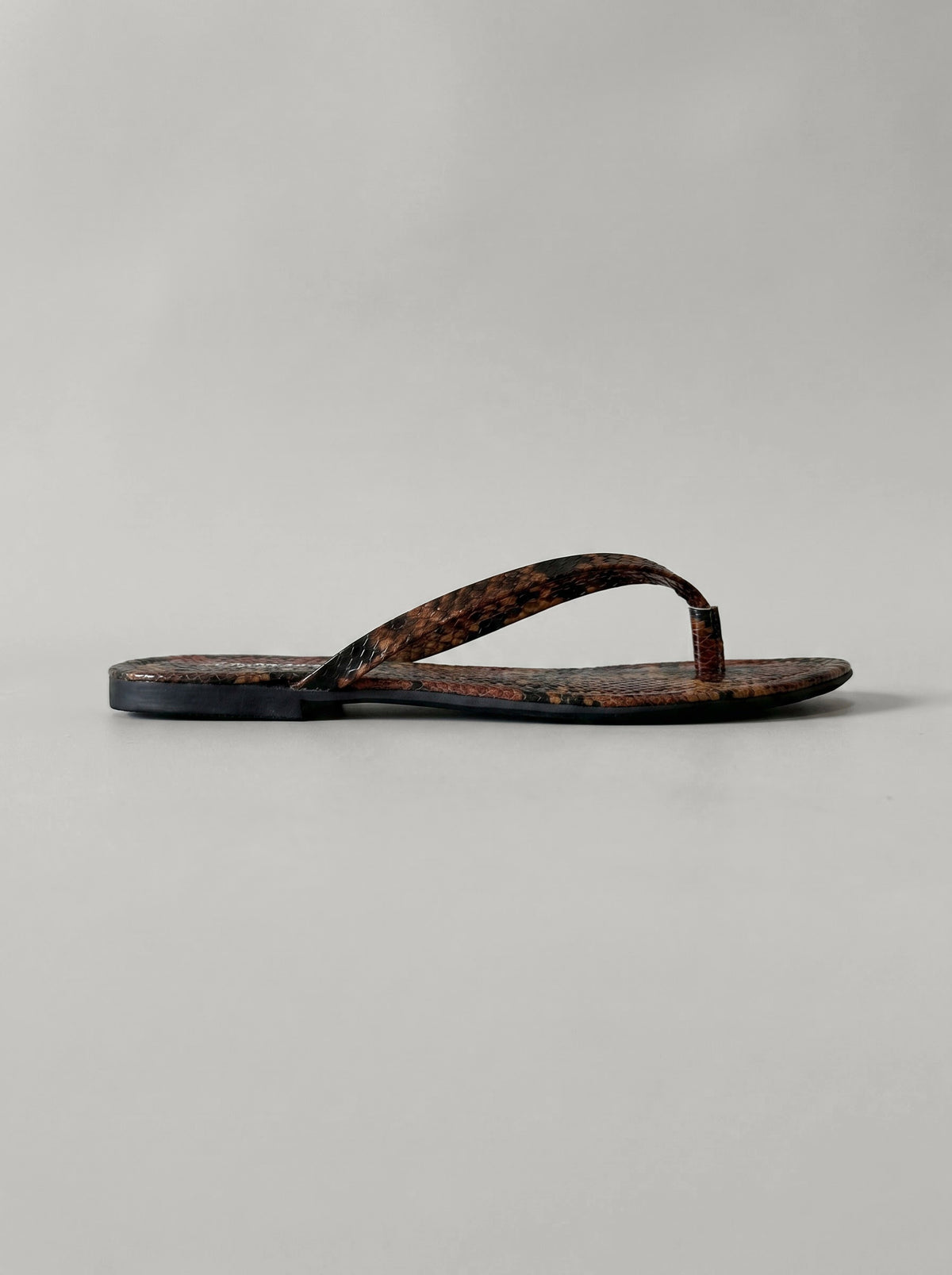 Savanna Snake