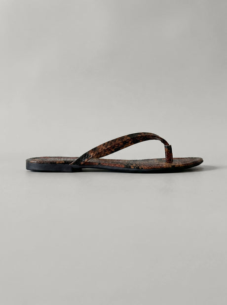 Savanna Snake