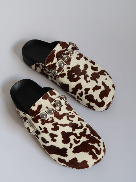 דירות לנשים