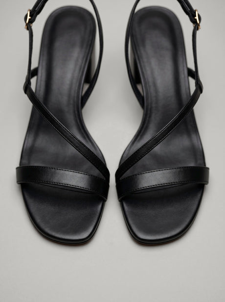 Capsule - Elia Black